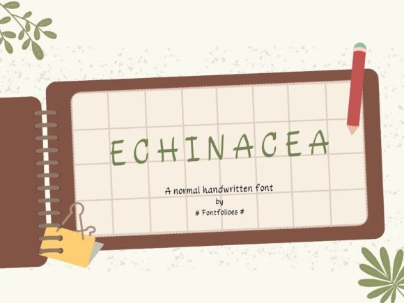 Echinacea Typeface: Adding Whimsy to Your Brand Identity